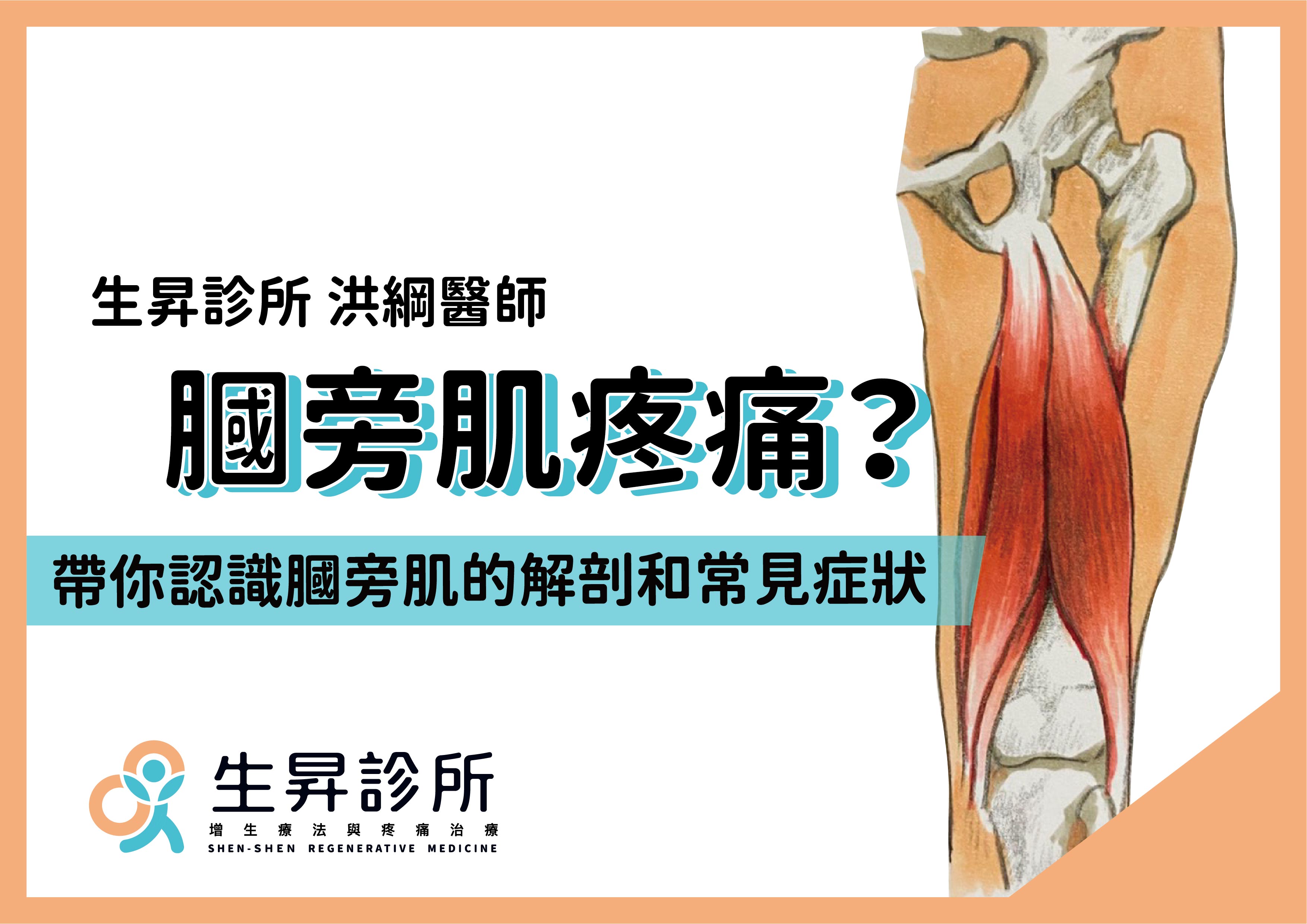 生昇診所 膕旁肌 後大腿肌 疼痛 帶你認識膕旁肌的解剖和常見症狀